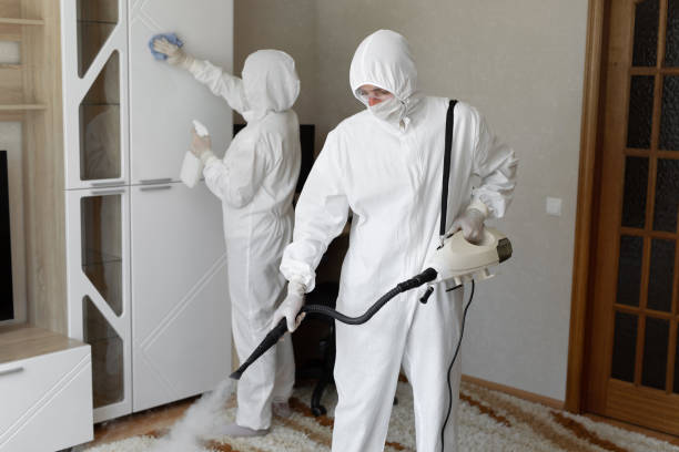 Goose Creek, SC Mold Remediation Company