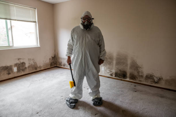 Best Residential Mold Remediation in Goose Creek, SC